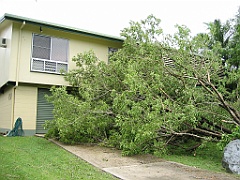 Cairns25 Cyclone Larry